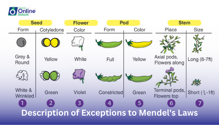 Lesson 06: Description of Exceptions to Mendel's Laws